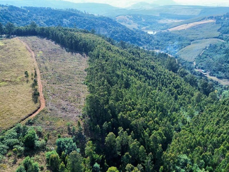 33-Hectare Vacant Land with Forest and Panoramic Views in the Midlands, Howick Rural - Photo 10