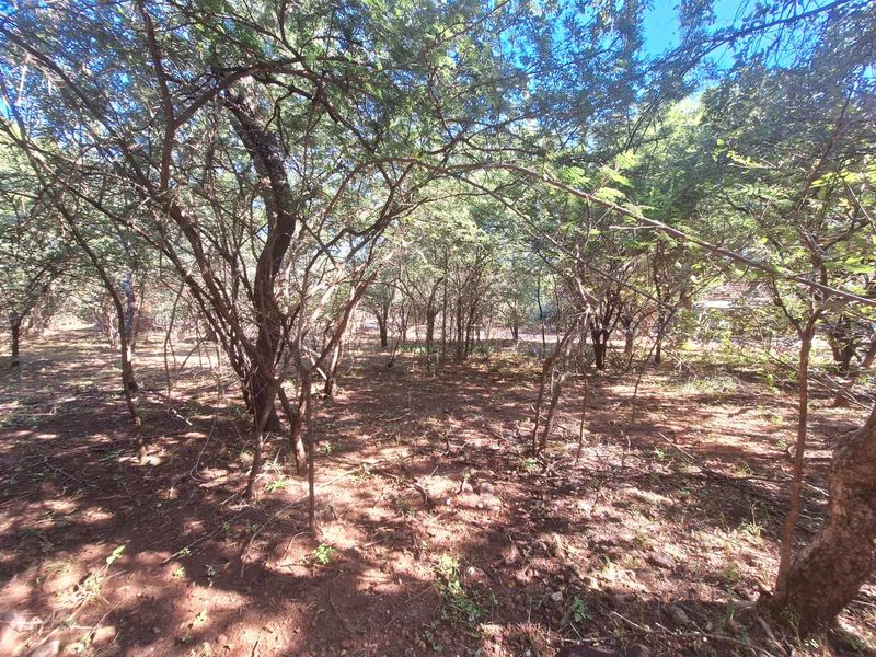 460m2 Stand in Leeupoort - Natures Perfect Canvas - Photo 4