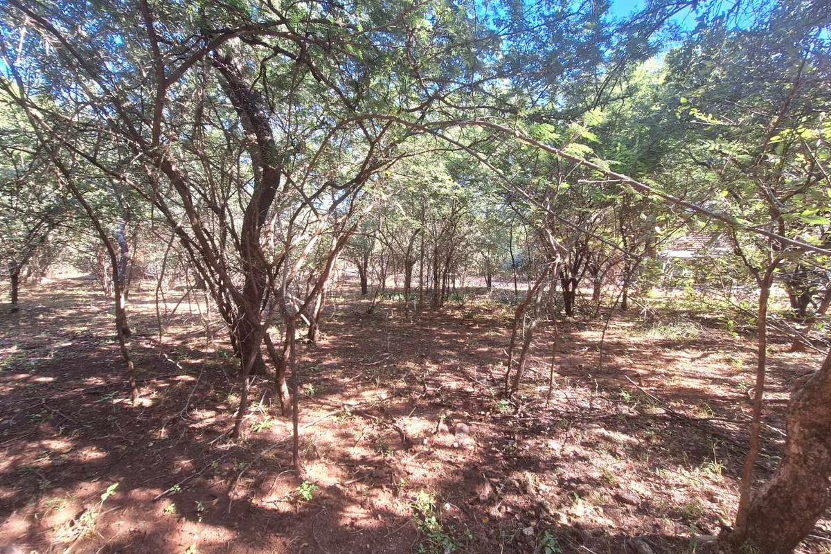 460m2 Stand in Leeupoort - Natures Perfect Canvas - Photo 4