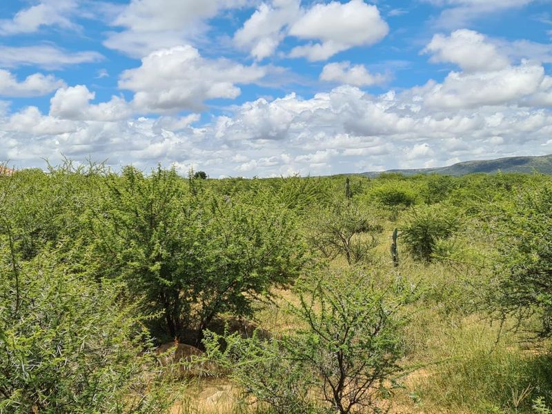 157 Hectares of Untapped Potential with Breathtaking Mountain Views - Photo 4