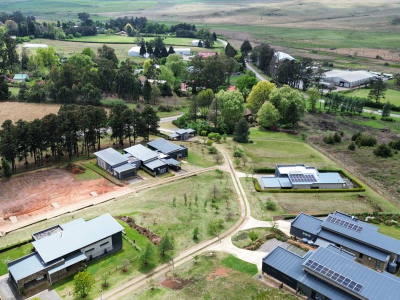 Aerial view of a residential estate featuring modern homes with metal roofs, solar panels, and established garden surroundings.
