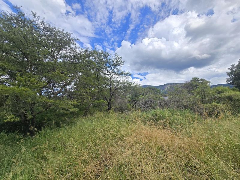 Spectacular Mountain Views & Exceptional Privacy - Photo 5