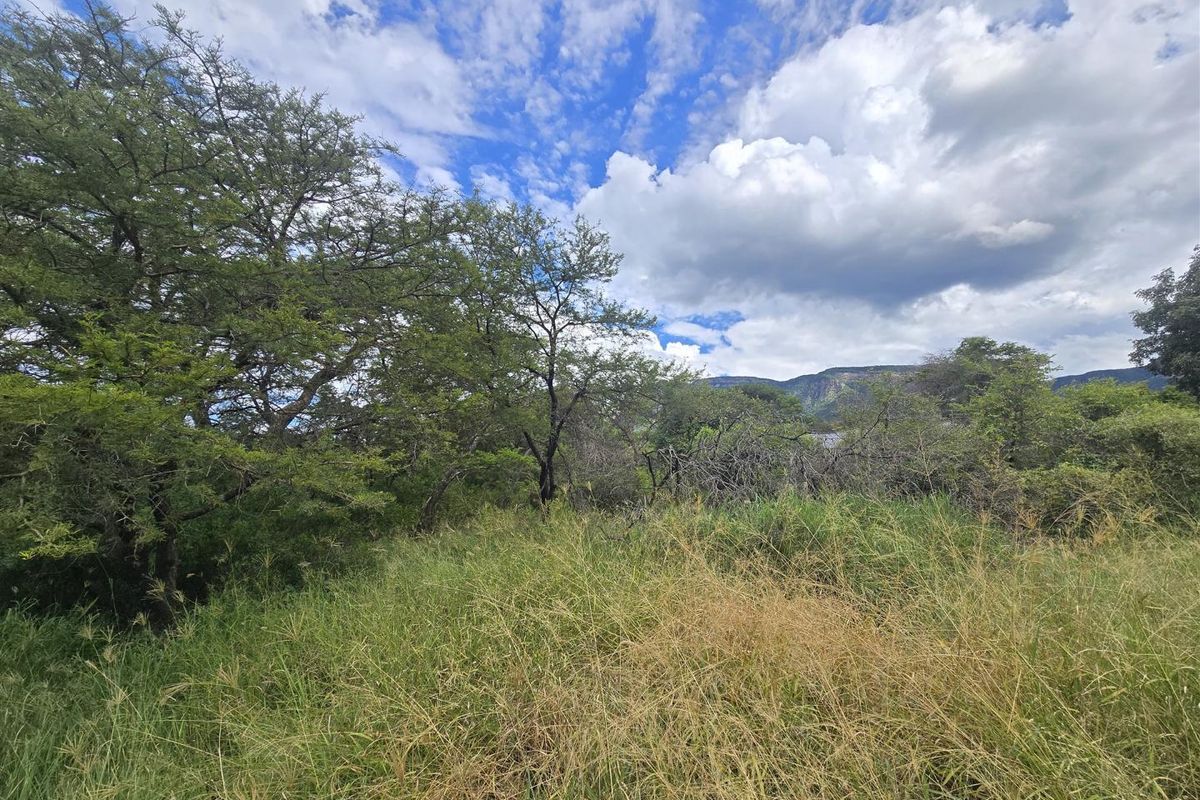 Spectacular Mountain Views & Exceptional Privacy - Photo 5