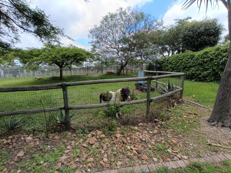 MIDRAND -  COUNTRY EQUESTRIAN ESTATE - 7 BEDROOMS - 6.5 BATHROOMS - Photo 10