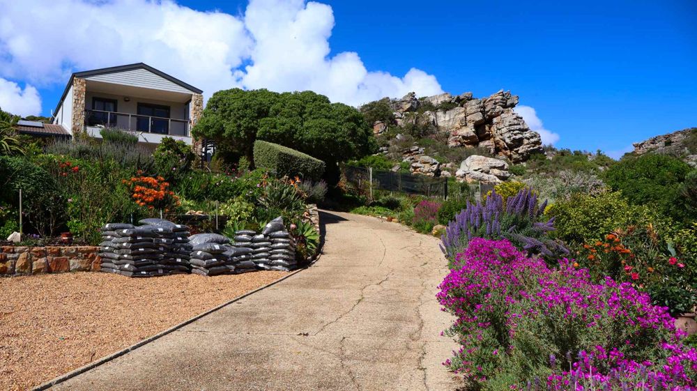 View from the driveway