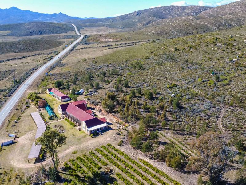 Own a Landmark Lifestyle Farm on Route 62 – Misgund, Langkloof (10.38 ha) - Photo 6