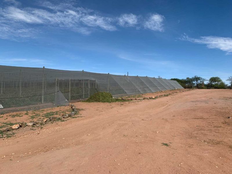 Established fresh produce plot - Photo 7