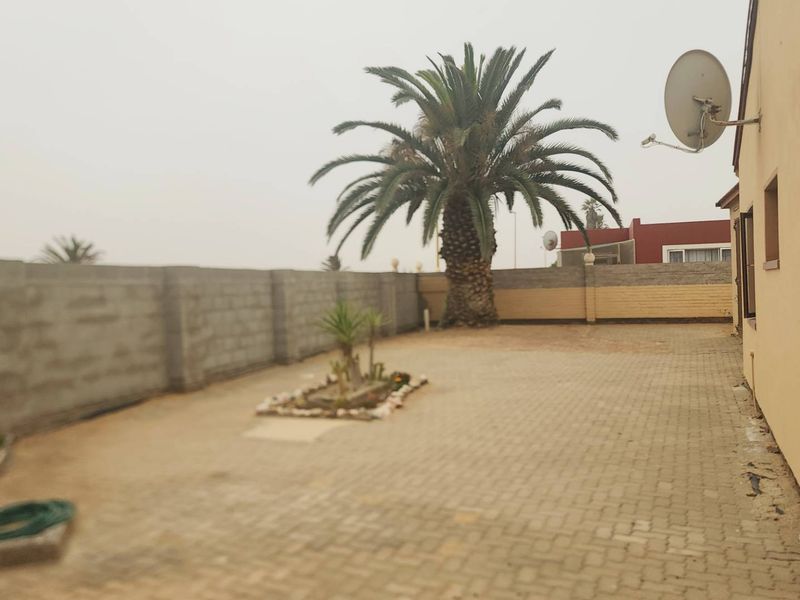 A spacious rear courtyard featuring paved flooring, a large palm tree, and perimeter boundary walls.
