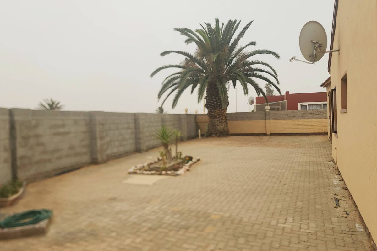 A spacious rear courtyard featuring paved flooring, a large palm tree, and perimeter boundary walls.