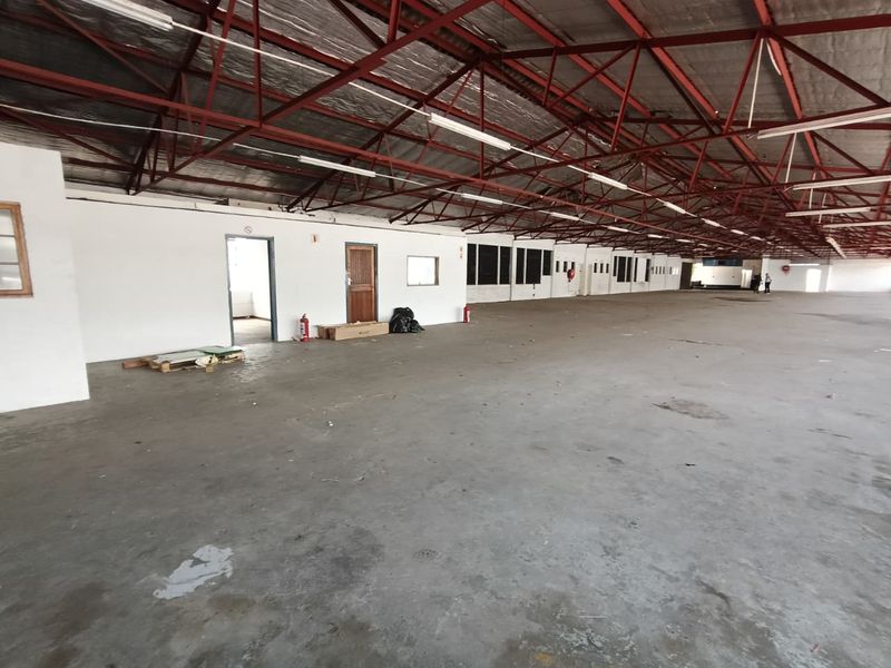 TO LET | PRIME 1061m2  - INDUSTRIAL UNIT |  FRONTAGE - Photo 6