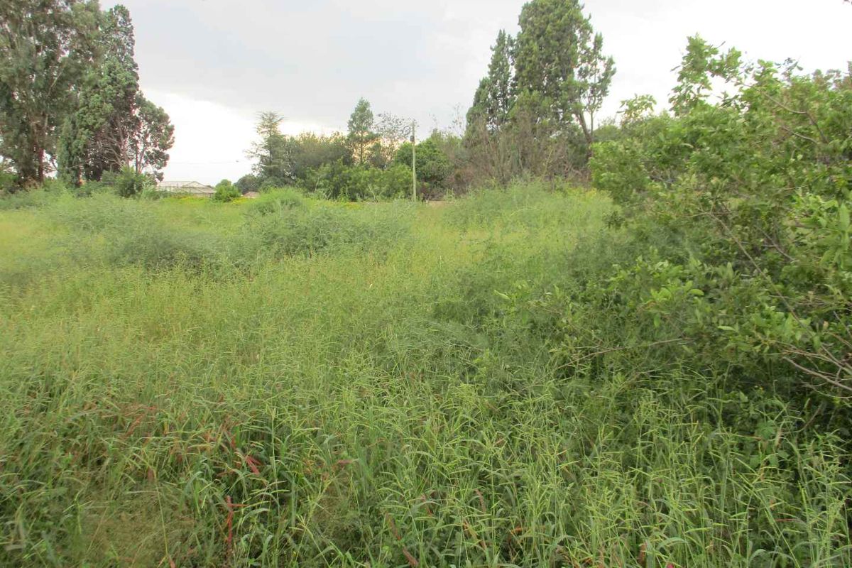 VACANT LAND IN HENLEY - Photo 5