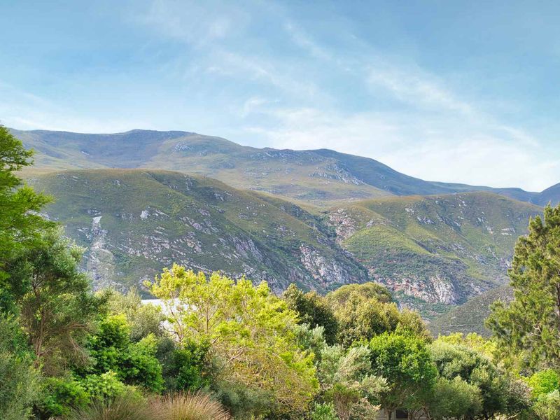 AN EXTRAORDINARY HOME - Photo 3