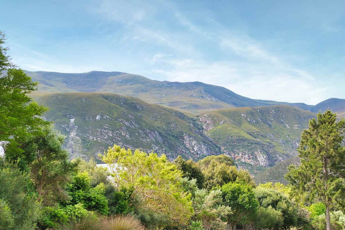 AN EXTRAORDINARY HOME - Photo 3