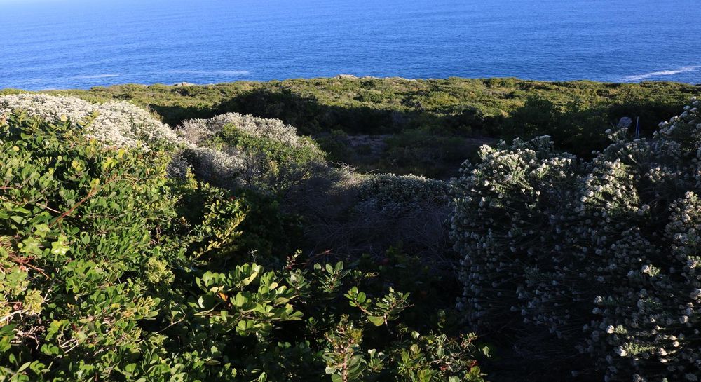 339 Oyster Bay Drive - Vacant Land