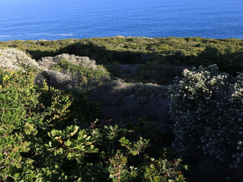 Vacant Land for sale in Pinnacle Point Golf Estate - Photo 3