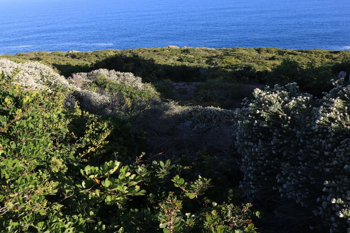 Vacant Land for sale in Pinnacle Point Golf Estate - Photo 3