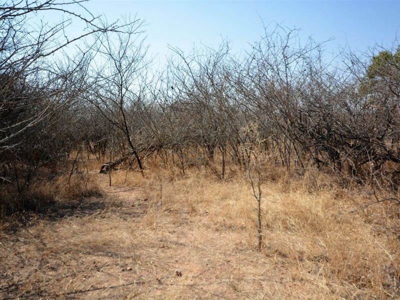 Vacant Land in MODITLO NATURE RESERVE - Photo 6