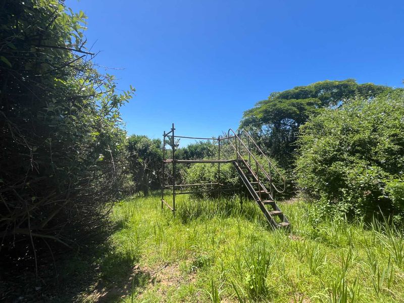 A view of a vacant residential plot featuring overgrown grass, mature trees, and a rusted metal scaffolding structure.