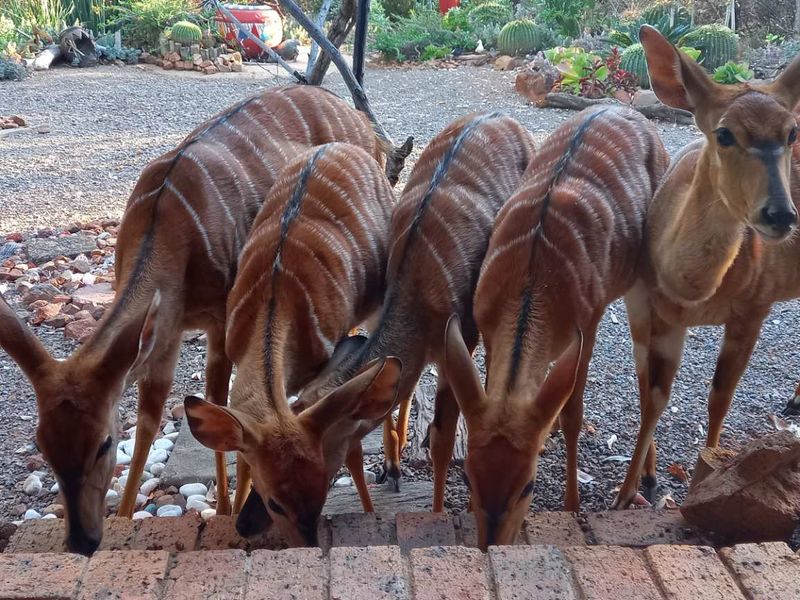 Embrace Tranquility - Prime Stand - Photo 7