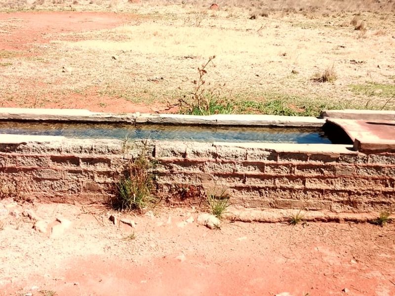 GAME AND CATTLE FARM.INEXHAUSTIBLE WATER.GAME FENCING WIRE.ALSO PLOWLANDS. - Photo 4