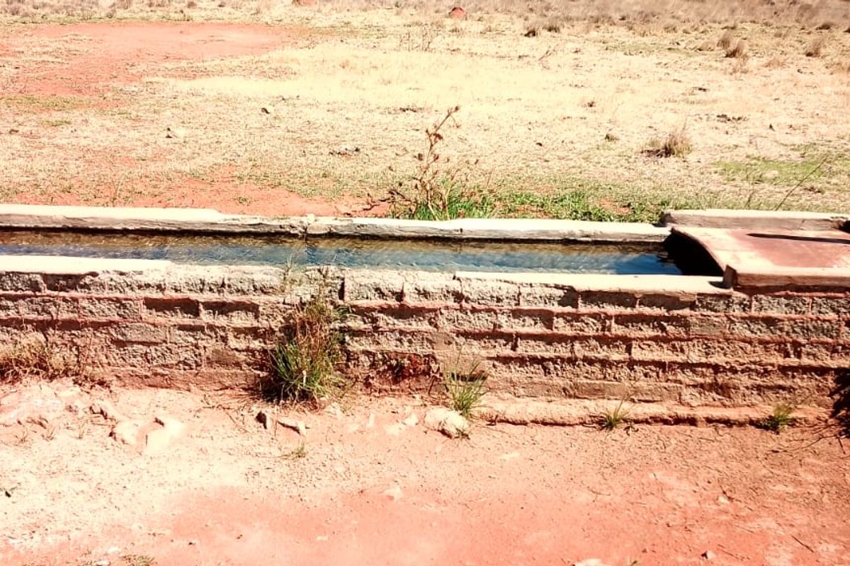 GAME AND CATTLE FARM.INEXHAUSTIBLE WATER.GAME FENCING WIRE.ALSO PLOWLANDS. - Photo 4