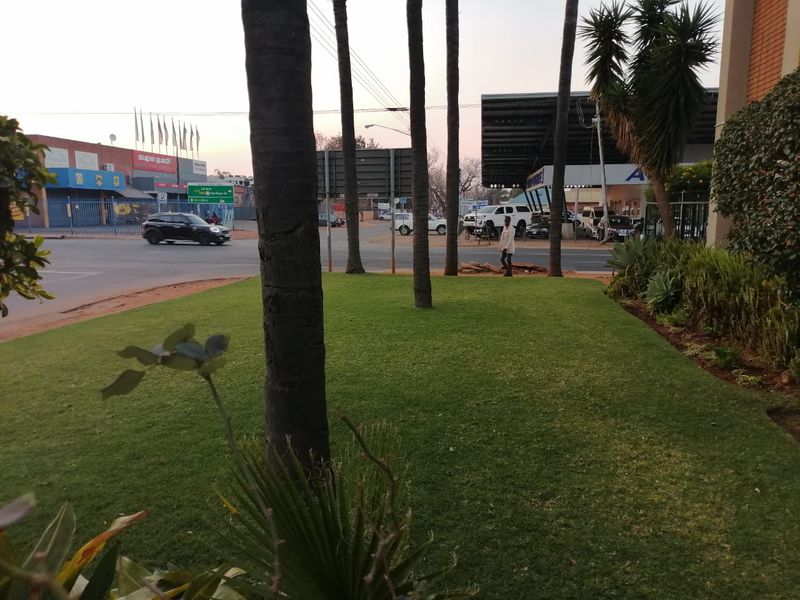 A view of the property frontage featuring a well-maintained lawn and mature palm trees, overlooking a nearby street and commercial area.