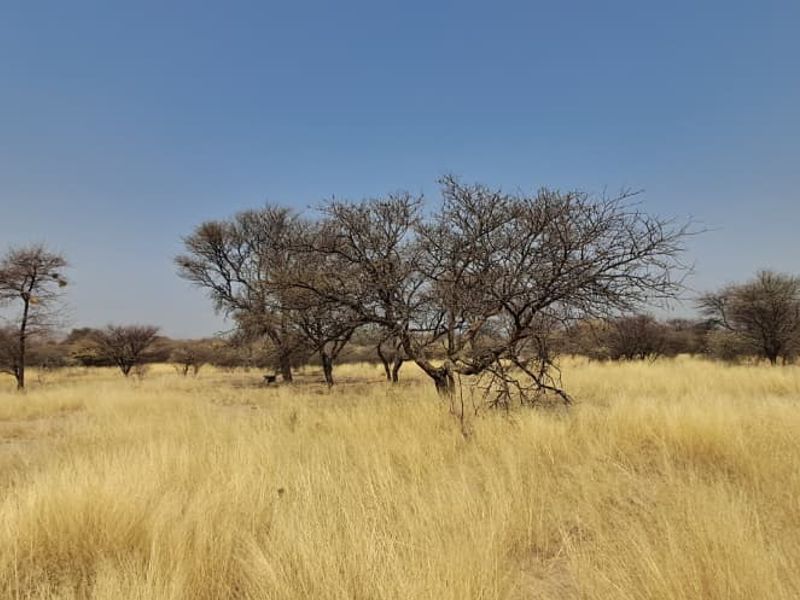 FOR SALE – Farm Plot, Far Osona Commonage (Okahandja) - Photo 3