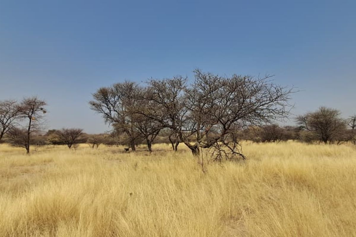FOR SALE – Farm Plot, Far Osona Commonage (Okahandja) - Photo 3
