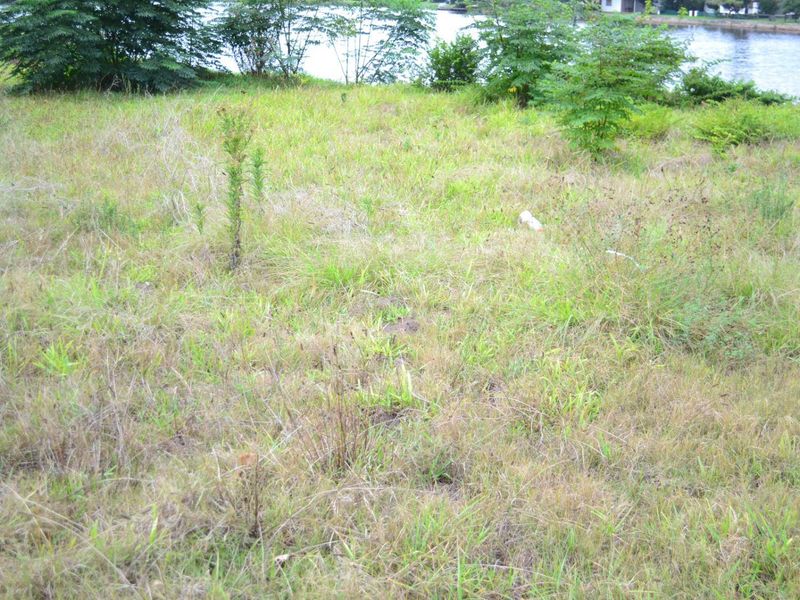 Vacant stand for Sale On The Island Grootbrak Rivier - Photo 6