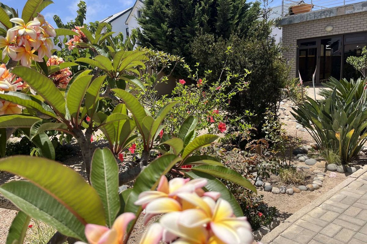 A well-maintained rear garden featuring established flowering shrubs, stone landscaping, and paved pathways leading to the building exterior.