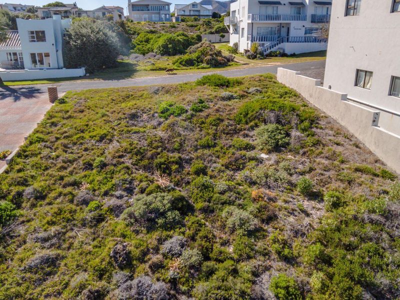 Sea Breezes and Serenity - Photo 4