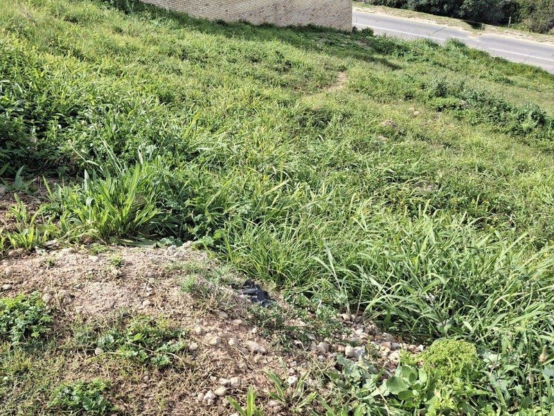 A view of a sloped, undeveloped residential plot featuring natural grass cover and a partial retaining wall near the street boundary.