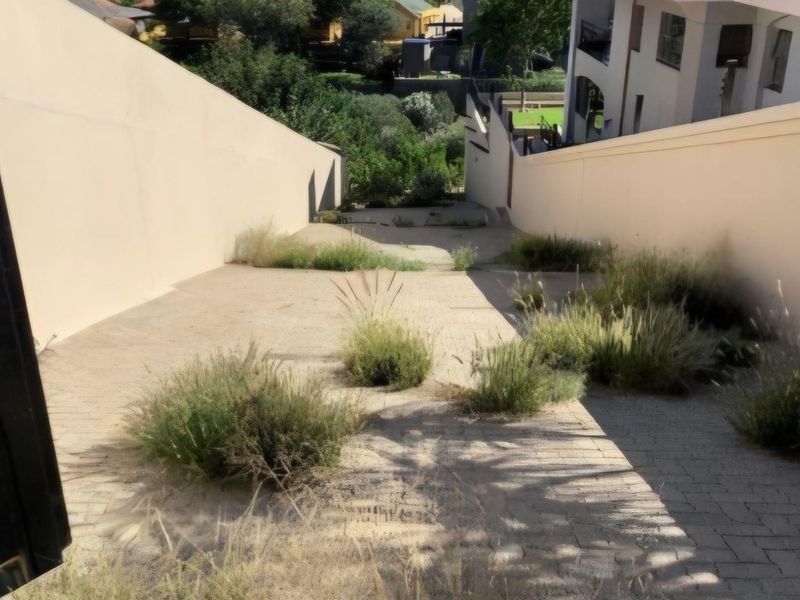 A sloped residential driveway flanked by high retaining walls, currently showing significant overgrowth and signs of neglect.