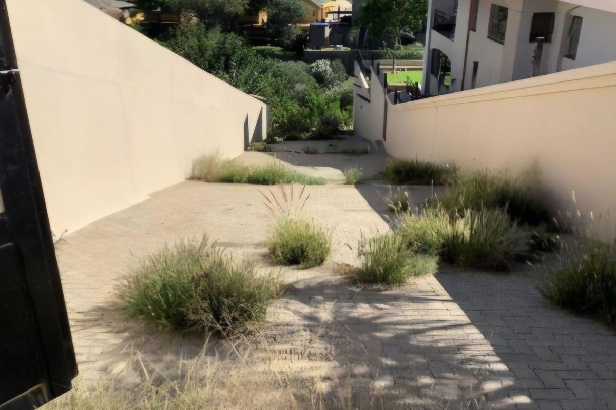 A sloped residential driveway flanked by high retaining walls, currently showing significant overgrowth and signs of neglect.