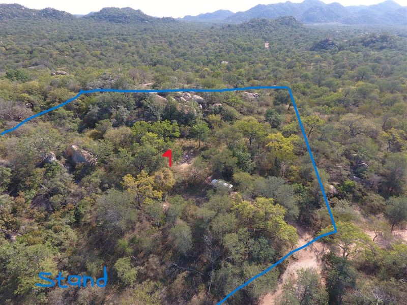 Secure a stunning stand in the bush in this pet friendly and exclusive reserve. - Photo 6