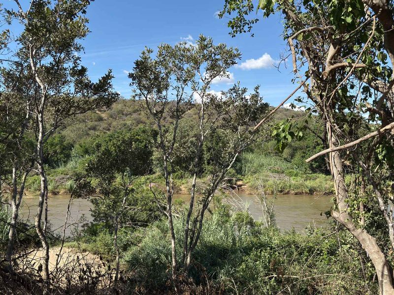 A scenic view of a natural river flowing through a lush, wooded landscape, showcasing the tranquil and undeveloped character of the property.