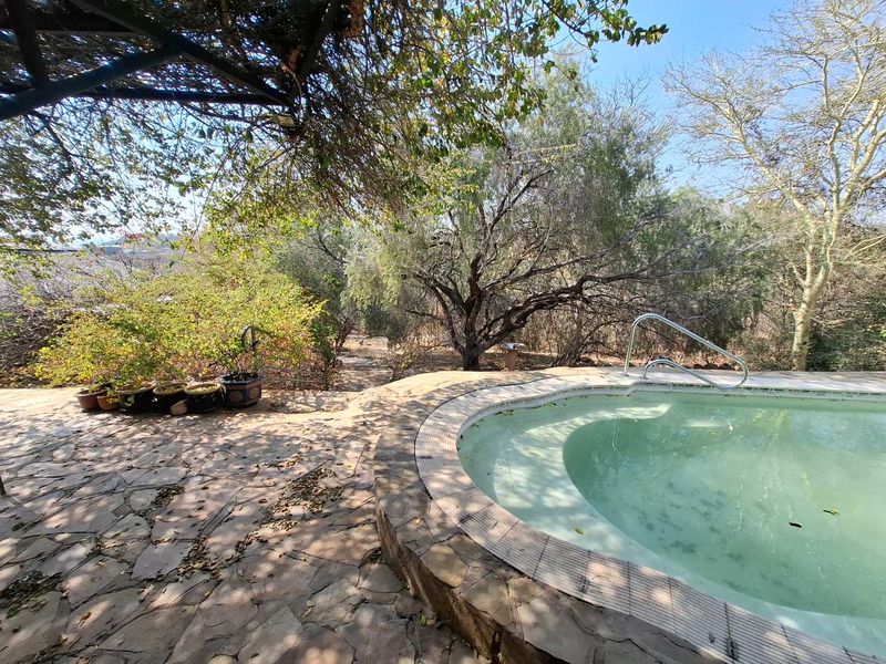 Outdoor pool area featuring stone paving and a built-in swimming pool surrounded by mature trees and natural landscaping.