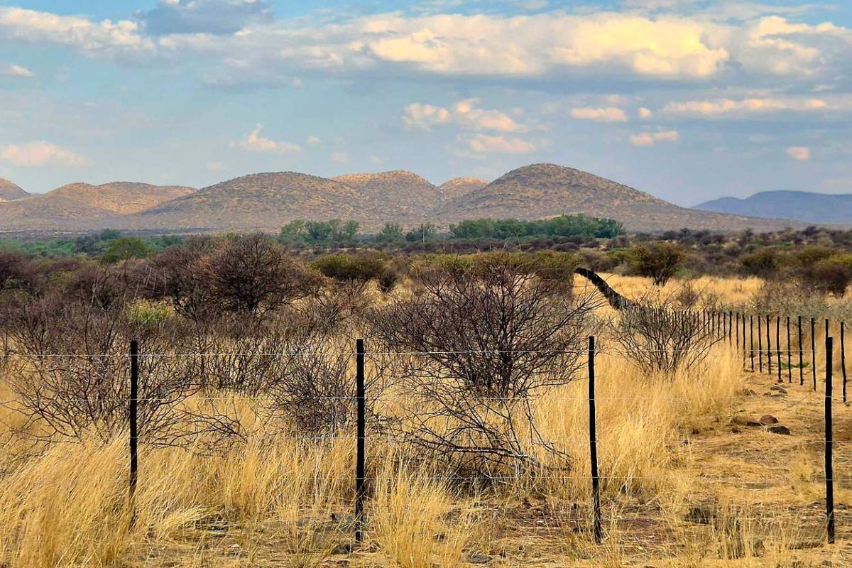 Guarantee views and privacy! 5HA plot for sale! 12 km South West from Okahandja on the Gross Barmen Road! - Photo 3