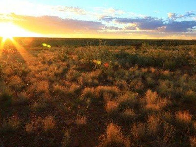 A scenic view of the expansive farm landscape at sunset, showcasing the natural terrain and open horizon.