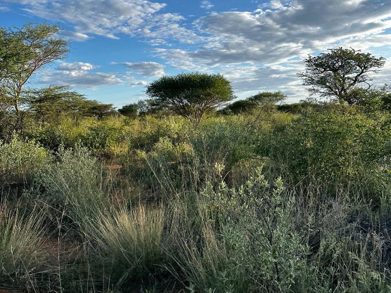 Hochfeld- Farmland For Sale - Photo 9