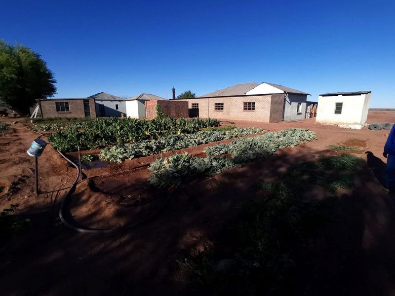 A RARE MUST HAVE CATTLE FARM | FOR SALE IN //KARAS REGION - Photo 2