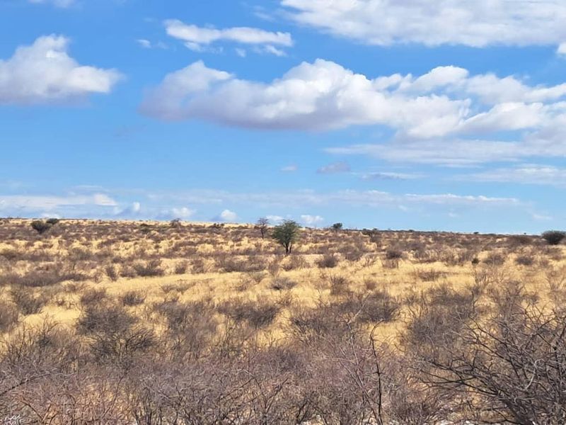 Farm Karnas - Photo 9