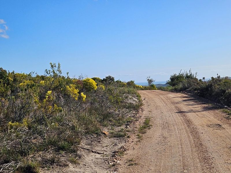 A Dream Come True - Photo 3