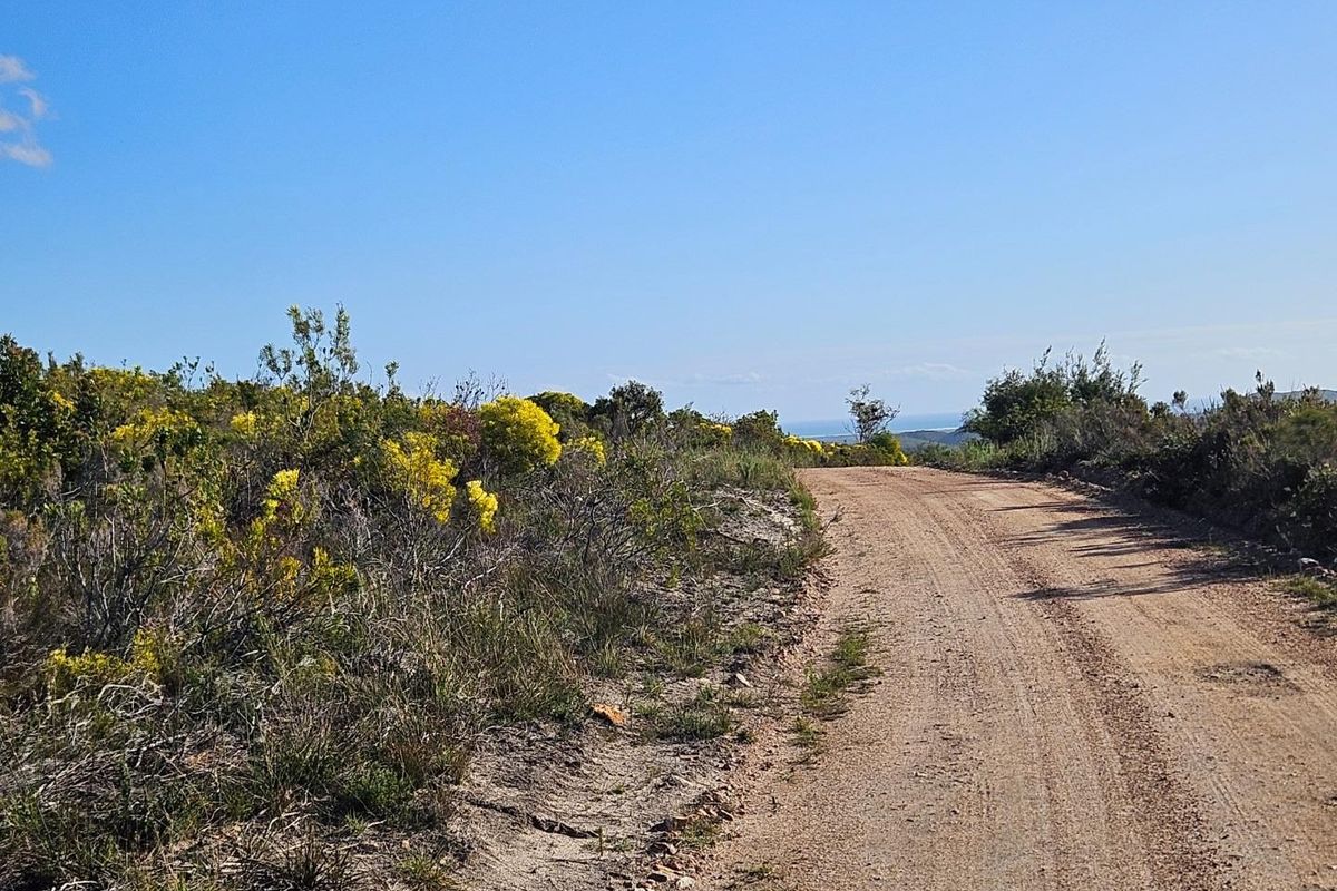 A Dream Come True - Photo 3