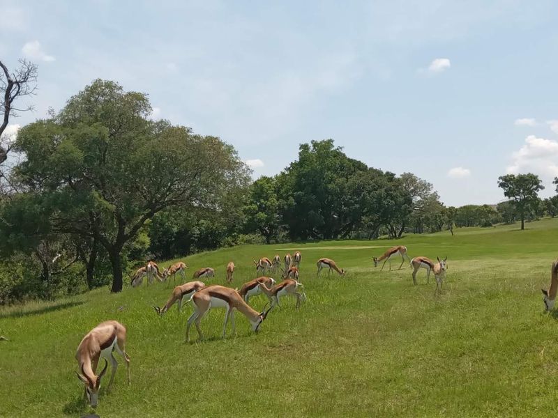 vacant land - Photo 7