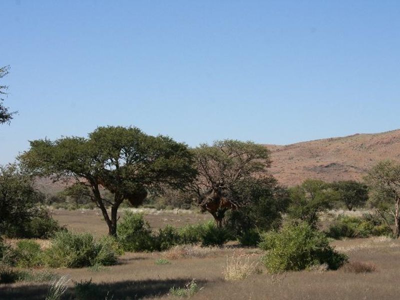 Multi-Purpose Farm for sale ( agricultural and tourism and hospitality ) - Photo 7