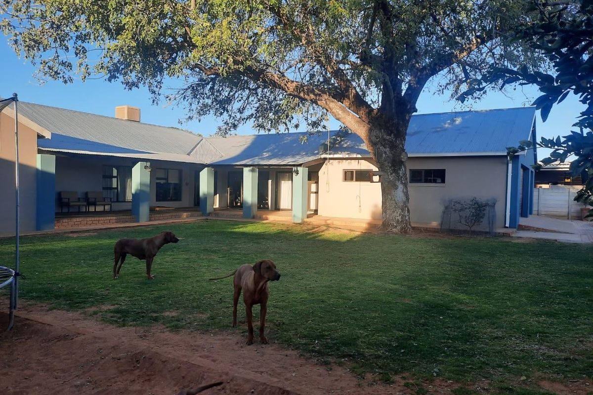 Spacious rear garden featuring a large mature tree, a covered patio area, and a well-maintained lawn with a metal roof structure.