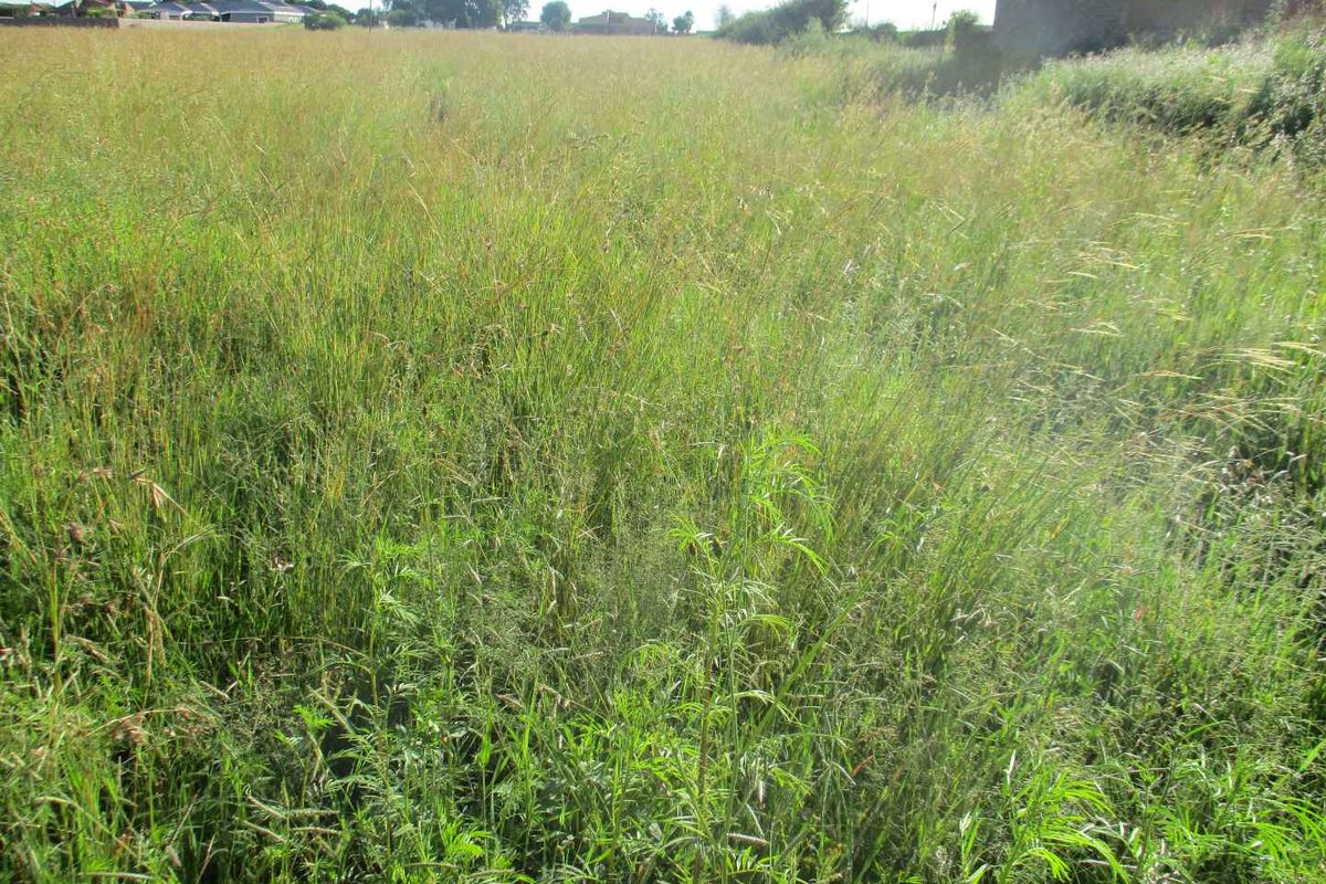 PRIME LAND AND LOCATION ! - Photo 5