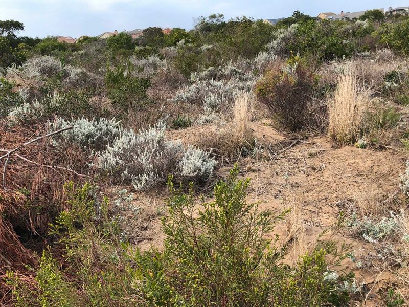 Nature Lover's Haven: Private Reserve & Wildlife at Your Doorstep - Photo 10