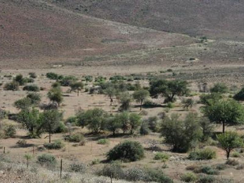 CATTLE / SHEEP / GAME FARMS FOR SALE KARAS REGION - Photo 5